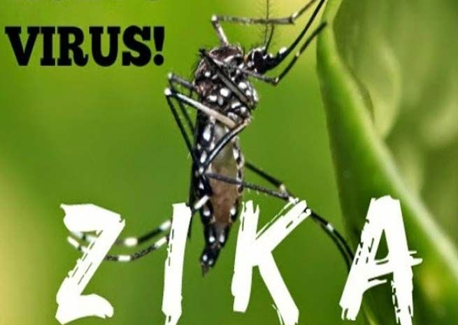 مجلس النواب الأمريكى يقر مشروع قانون لمكافحة فيروس "زيكا"