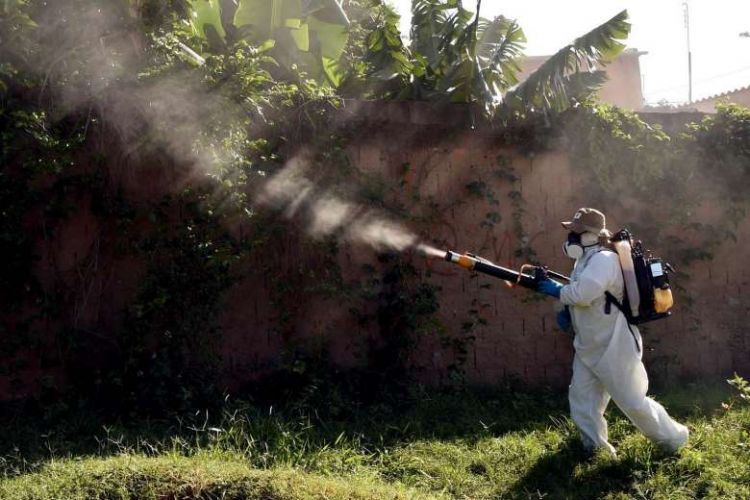 WHO: Brazil-type Zika confirmed in Africa for first time
