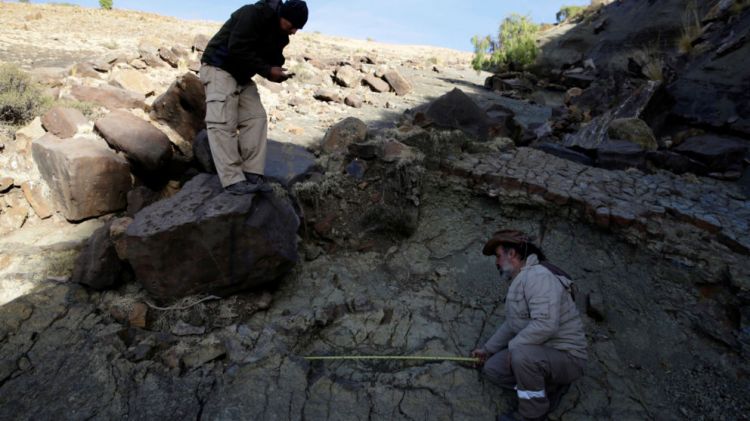 Giant Dinosaur Footprint Found In Bolivia