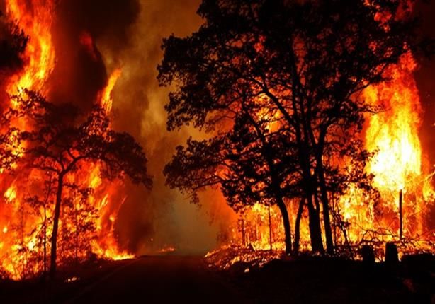 استمرار حرائق الغابات فى كاليفورنيا بسبب ارتفاع درجات الحرارة