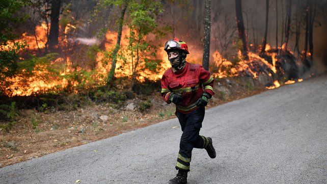 Hundreds flee forest fires in Portugal & Madeira