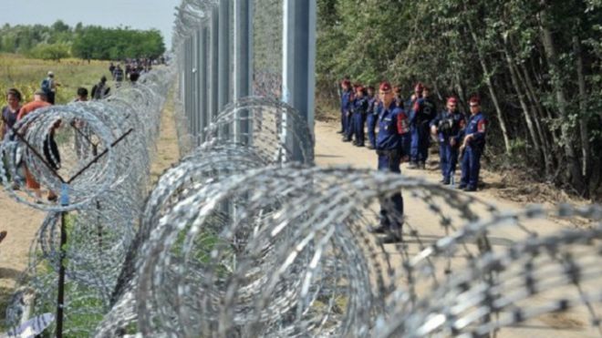 عضو مجري في البرلمان الأوروبي يقترح استخدام رؤوس الخنازير لردع اللاجئين المسلمين