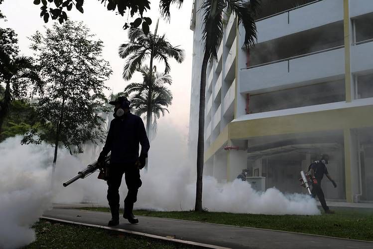 Singapore Zika Transmissions Rise to 56