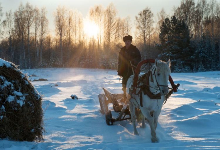 الجمال الساحر لشتاء سيبيريا - معرض الصور