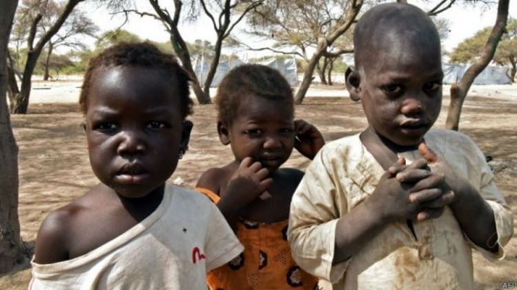 Nigeriyada bir neçə ay ərzində 75 min uşaq aclıqdan ölə bilər BMT