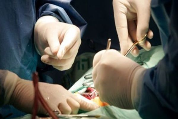 مصر تقبض على 45 شخصا بتهمة الاتجار في الأعضاء البشرية بينهم أطباء