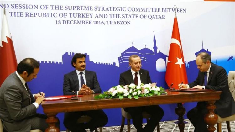 بحضور أردوغان وتميم.. تركيا وقطر توقعان مذكرات تفاهم في مجالات عدة