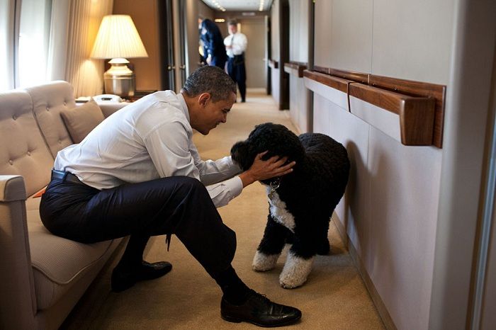 Obamanın müxtəlif vaxtlarda çəkilən maraqlı Fotoları