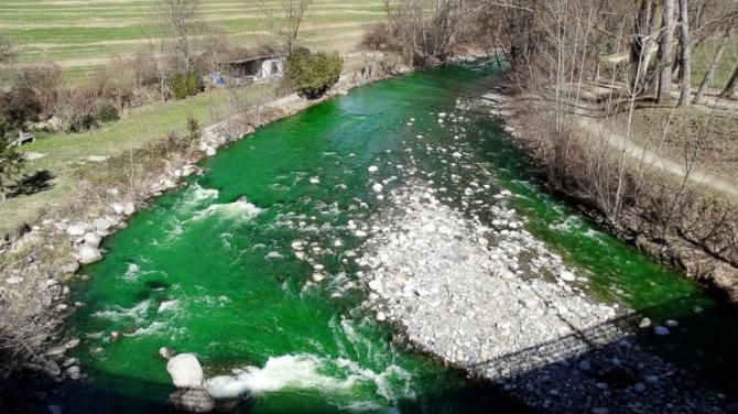 River turns bright green to the horror of residents