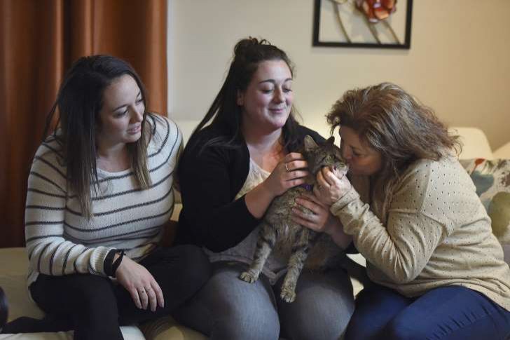 New Jersey cat missing 2½ years reunited with family