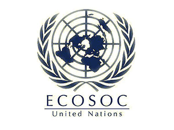دعوة مفتوحة للمنظمات غير الحكومية لتقديم طلب للحصول على مركز استشاري لدى الأمم المتحدة