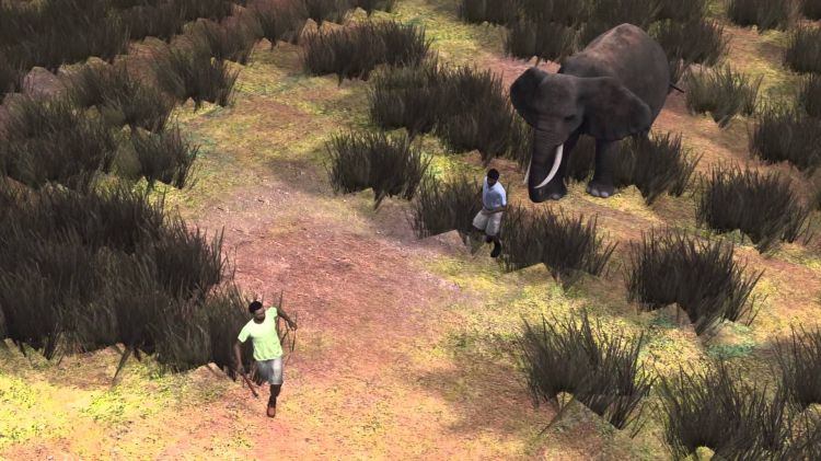 An elephant crushes a hunter to death after it is fatally shot