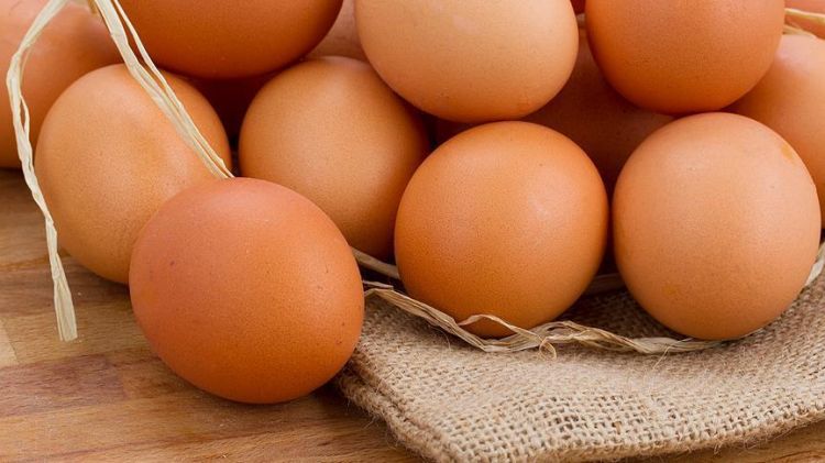 بيضة واحدة يوميًا تحمي الأطفال من التقزّم ونقص الوزن