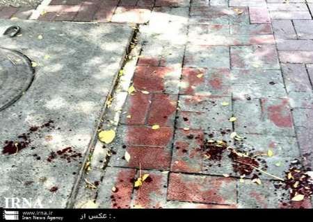 ارتفاع عدد شهداء الاعتداءات الارهابية في طهران الي 17 شهيدا