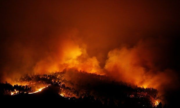 Число жертв лесных пожаров в Португалии достигло 57 ОБНОВЛЕНО