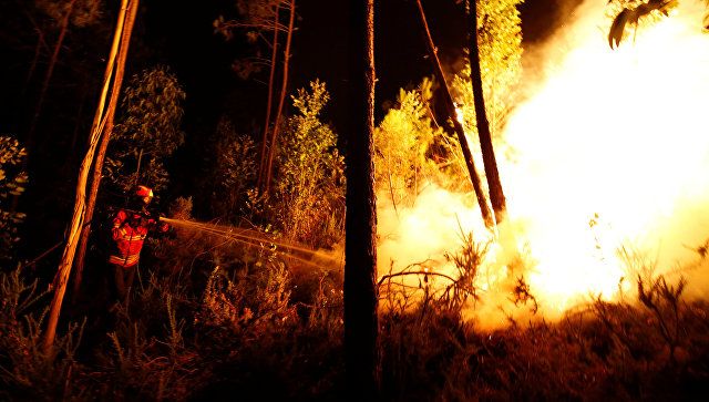 Страны Евросоюза помогут Португалии бороться с лесными пожарами