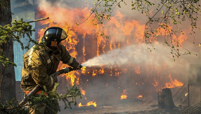 На Дальнем Востоке выгорели более 1,5 тысячи гектаров леса за сутки