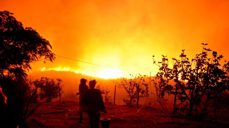 At least 61 killed as forest fires rage across Portugal
