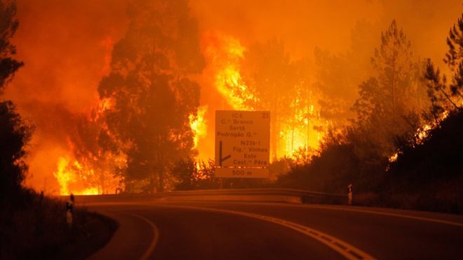Фото: горящие леса Португалии