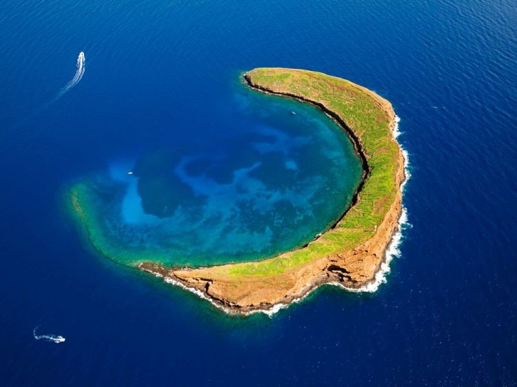 В США "всплывший" остров стал туристическим хитом