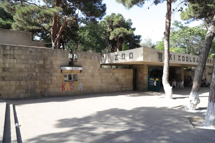 В бакинском зоопарке началась реконструкция