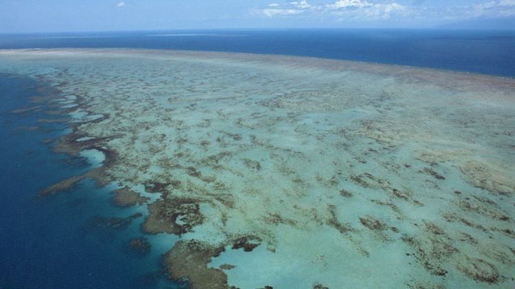 Great Barrier Reef ‘not On Danger List’