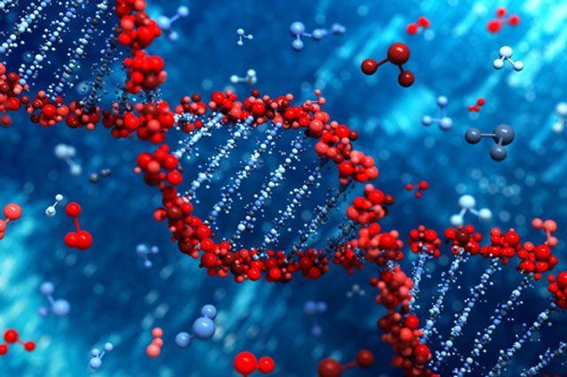 Ученые впервые удалили из ДНК человеческого эмбриона ген, отвечающий за болезнь