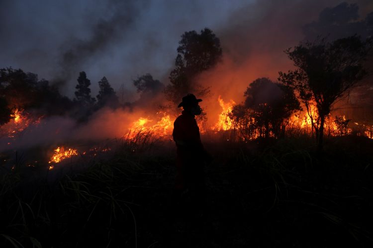 В Италии пожарные поджигали лес ради бонусов к зарплате