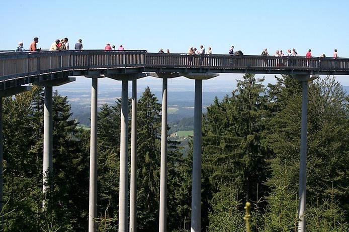 В Баварии обрушился мост с 40 подростками