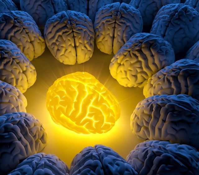 Ученые нашли способ наиболее эффективного использования мозга