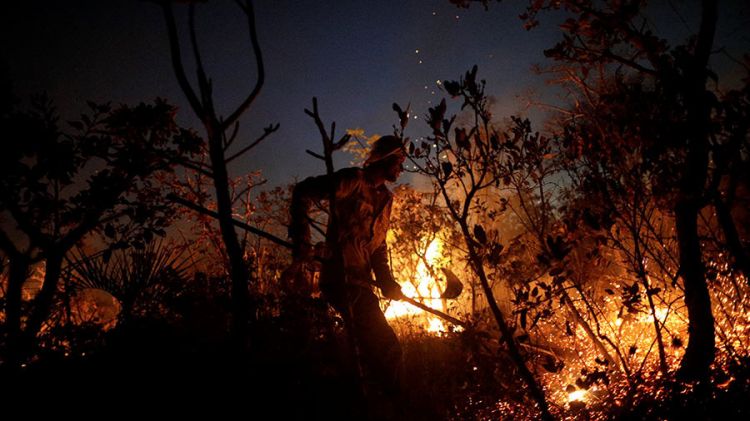 Канадцев эвакуируют из-за лесных пожаров