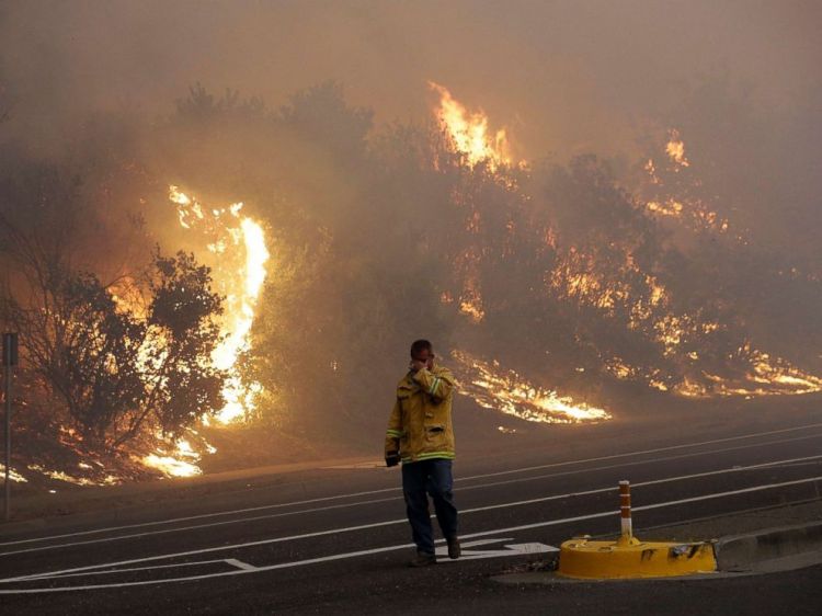 Число погибших в результате пожаров в Калифорнии возросло до 31