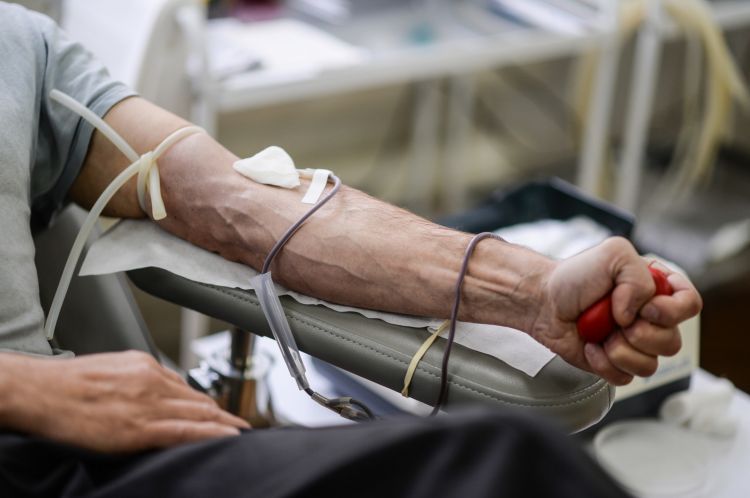 Учёные сообщили об опасностях переливания крови мужчинам