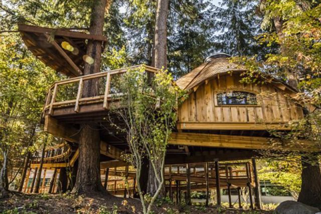 Microsoft построила для сотрудников дома на деревьях