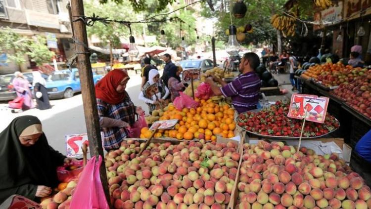 دول خليجية ترفع الحظر عن استيراد حاصلات زراعية مصرية