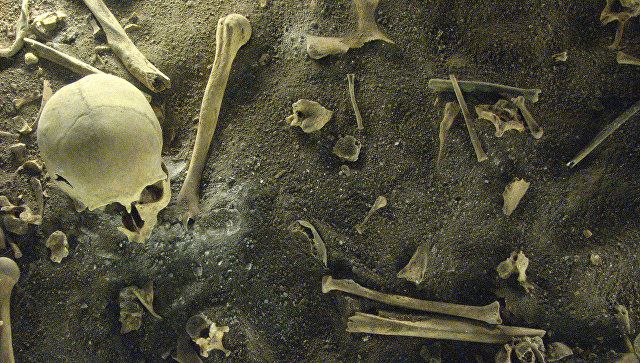Найденные в Перу скелеты рассказали ученым о страшном древнем ритуале