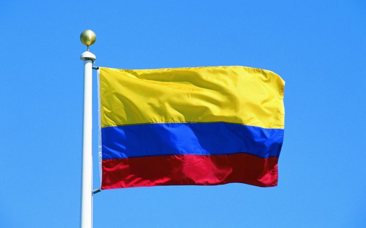Тимошенко собирается стать президентом Колумбии