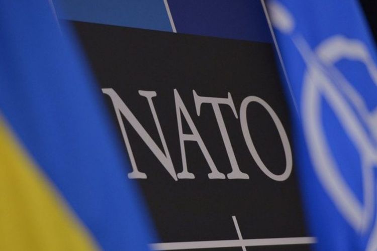 Военная техника НАТО увязла в польской грязи