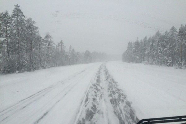 Снегопад нарушил автобусное сообщение