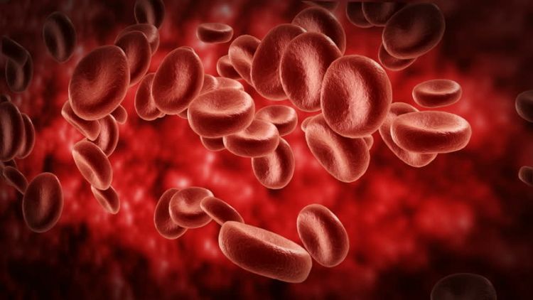 الدم يشكّل 9% فقط.. ماذا عن بقية السوائل بجسم الإنسان؟