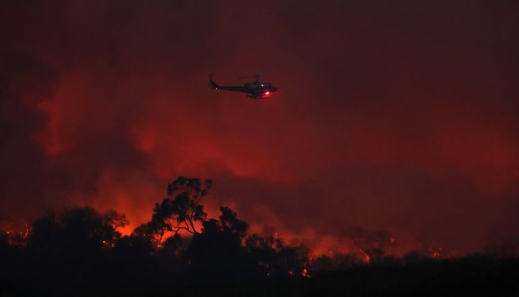 Природный пожар "Томас" признан крупнейшим за всю историю Калифорнии