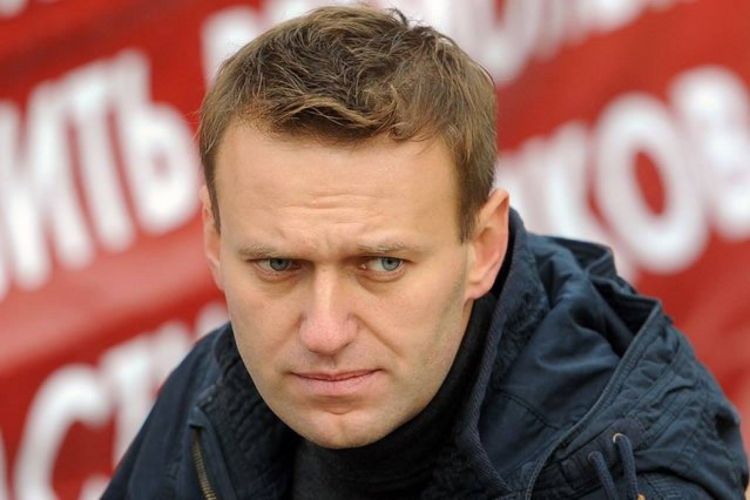 О программе Алексея Навального