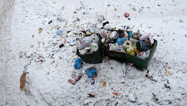 Штрафы за незаконную свалку мусора существенно увеличат в 2018 году