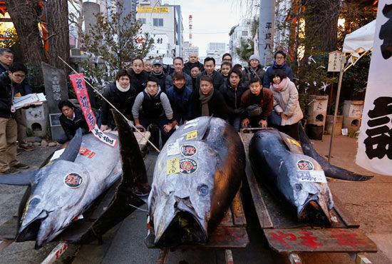 صور.. إقبال كثيف على أكبر سوق سمك فى العالم باليابان