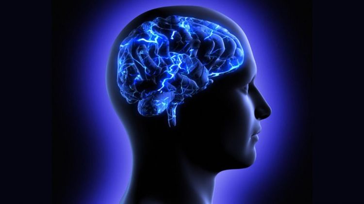 علماء يطورون علاجات للتخلص من اضطرابات الدماغ