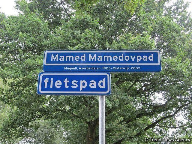 История улицы Мамеда Мамедова в центре Европы