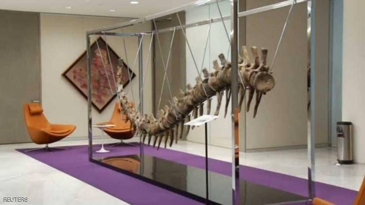 ذيل ديناصور للبيع في مزاد لصالح مشروع خيري