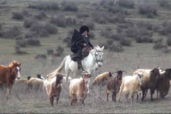 Tovuzlu 91 yaşlı çoban ənənəvi geyimi ilə diqqət çəkir