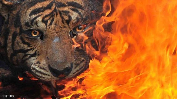 إندونيسيا تحرق "النمر" وتطارد الصيادين