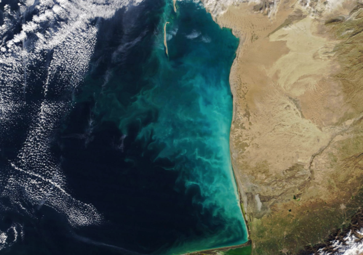 NASA показало фото уникальных "молочных вихрей" в Каспийском море